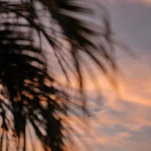 美女光溜溜图片视频素材
